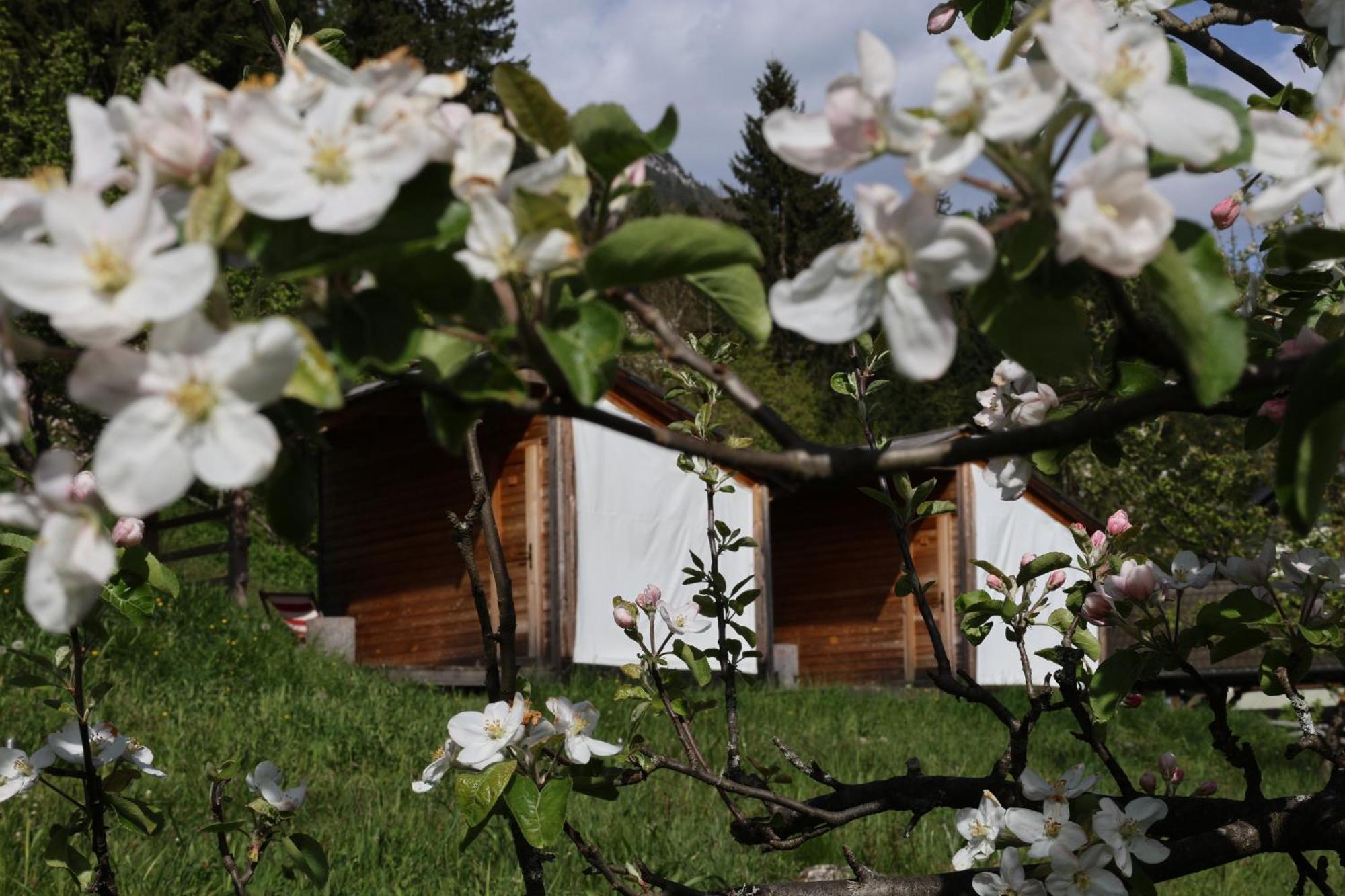 Вилла Mountain View Glamping Довье Экстерьер фото