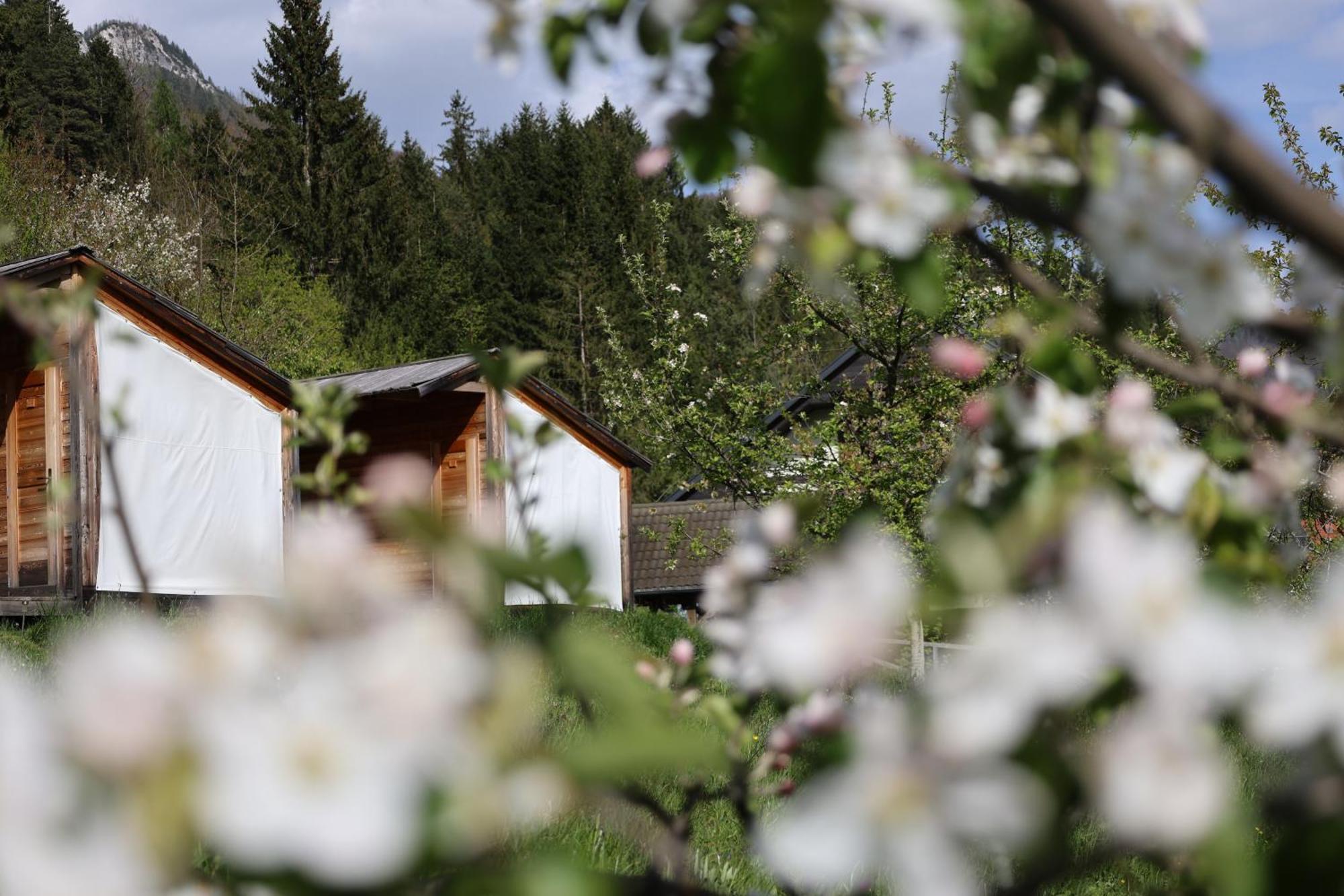 Вилла Mountain View Glamping Довье Экстерьер фото